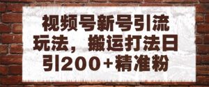 视频号新号引流玩法,搬运打法日引200+精准粉,可矩阵放大【揭秘】-最全资源库