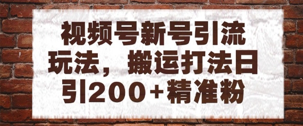 视频号新号引流玩法,搬运打法日引200+精准粉,可矩阵放大【揭秘】-最全资源库