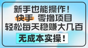 新手也能操作,快手零撸挣米,轻松每天挣2-5张,完全无成本-最全资源库