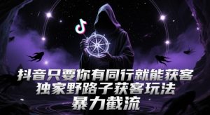 抖音只要你有同行就能获客，独家野路子获客玩法，暴力截流【揭秘】-最全资源库