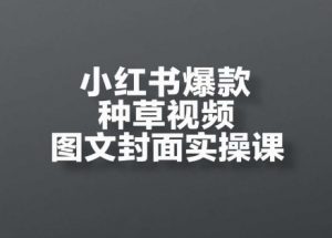 小红书爆款种草视频图文封面实操课,开店、选品、引流、变现全流程-最全资源库