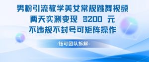 男粉引流教学美女常规跳舞视频两天实测变现1k+，不违规不封号可矩阵操作-最全资源库