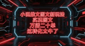 小说推文图文新玩法,实况图文,万播二十单,这转化太牛了!-最全资源库