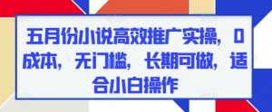 五月份小说高效推广实操，0成本，无门槛，长期可做，适合小白操作-最全资源库