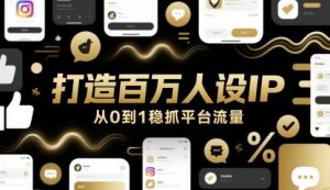 打造百万人设IP，从0到1稳抓平台流量-最全资源库