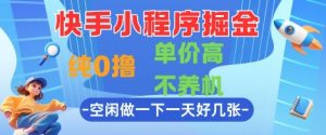 快手小程序掘金,纯0撸,单价高不养机 利用空闲时间做一做,一天好几张【揭秘】-最全资源库