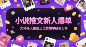 小说推文新人爆单大佬每天稳定三位数爆单经验分享-最全资源库