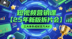 短视频营销课【25年新版拆片会】三大体系成就百万大V,包含正课、拆片会、手把手教学直播课等-最全资源库