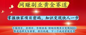 网创副业黄全赛道,掌握独家项目密码,知识变现快人一步,告别韭菜轻松实现单日变现1k+【揭秘】-最全资源库