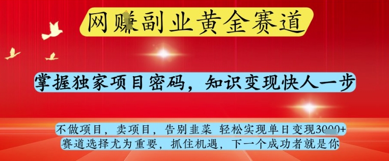 网创副业黄全赛道,掌握独家项目密码,知识变现快人一步,告别韭菜轻松实现单日变现1k+【揭秘】-最全资源库