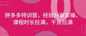 拼多多特训营,经验分享实操,课程时长拉满,干货拉满(更新25年4月)-最全资源库