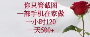 你只管截图,一部手机在家可以做,一小时120.一天5张+【揭秘】-最全资源库