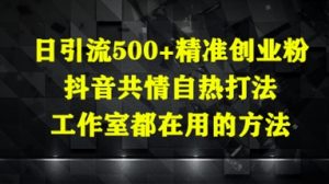 日引流500+精准创业粉，抖音共情自热打法，工作室都在用的方法-最全资源库