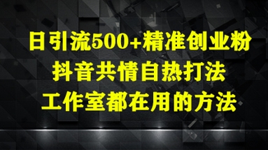 日引流500+精准创业粉，抖音共情自热打法，工作室都在用的方法-最全资源库