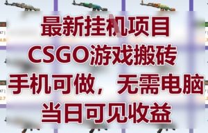 最新挂G项目，CSGO游戏搬砖，手机可做，无需电脑，当日见收益【揭秘】-最全资源库
