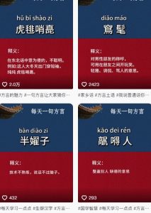 抖音最新涨粉玩法，图文方言暴力涨粉实操，126作品涨粉11W-最全资源库