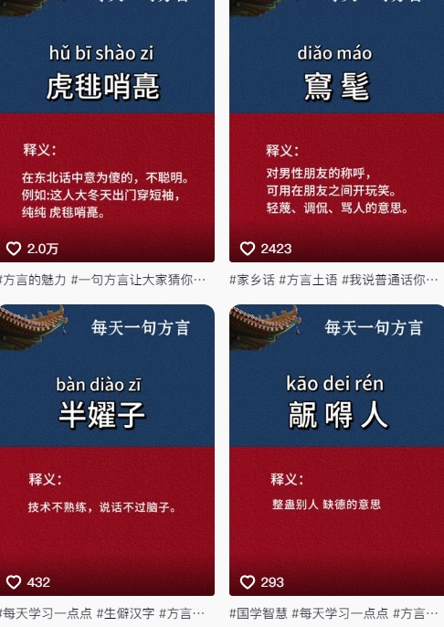 抖音最新涨粉玩法，图文方言暴力涨粉实操，126作品涨粉11W-最全资源库