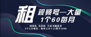 租视频号,一个60每月,2个120.纯绿色、无风险,常年租【揭秘】-最全资源库