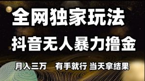 全网独家玩法抖音无人暴力撸金,月入3W,有手就行,当天拿结果【揭秘】-最全资源库
