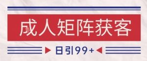 小红书某音橙人赛道引流获客，自热矩阵日引200+【揭秘】-最全资源库