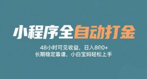 小程序全自动打金，48小时可见收益，日入多张，长期稳定靠谱，小白宝妈轻松上手【揭秘】-最全资源库