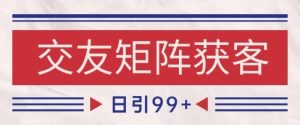 小红书某音交友赛道引流获客 自热矩阵日引200+【揭秘】-最全资源库