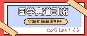 小红书某音国学赛道引流获客 自热矩阵日引200+【揭秘】-最全资源库