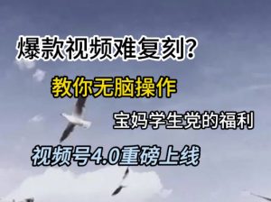 视频号4.0重磅上线，爆款视频难复刻？教你无脑操作宝妈学生党的福利【揭秘】-最全资源库