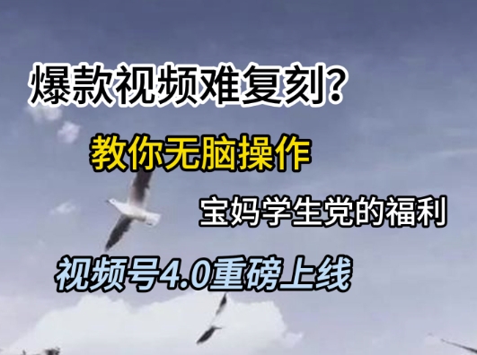 视频号4.0重磅上线，爆款视频难复刻？教你无脑操作宝妈学生党的福利【揭秘】-最全资源库