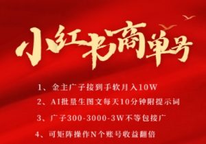 小红书商单号，AI轻松制作PLOG图文，商单接到手软3张-3k一条，每天轻松十分钟，矩阵n个账号，月入几个W-最全资源库