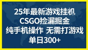 25年CSGO游戏搬砖，全自动挂G，不需要玩游戏，手机操作日入3张+【揭秘】-最全资源库