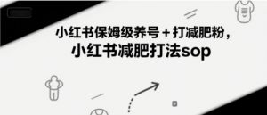 小红书保姆级养号+打减肥粉，小红书减肥打法sop-最全资源库