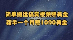 简单搬运搞笑视频挣美金，新手一个月入1k美金-最全资源库
