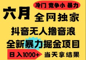 25年6月高爆抖音无人直播最新撸音浪掘金项目,小白可做,无脑日入1k+,门槛低可批量矩阵【揭秘】-最全资源库