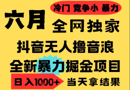 25年6月高爆抖音无人直播最新撸音浪掘金项目,小白可做,无脑日入1k+,门槛低可批量矩阵【揭秘】-最全资源库