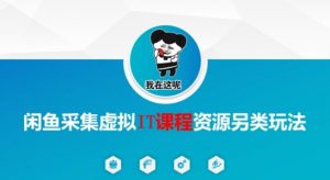 闲鱼采集虚拟IT课程资源另类玩法,干货满满-最全资源库