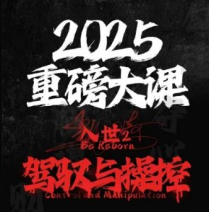 2025重磅大课，入世2，驾驭与控制-最全资源库