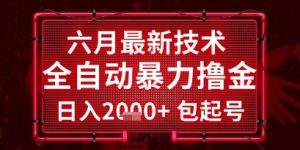 六月最新技术全自动暴力撸金，稳定日入2k+包起号，长期稳定【揭秘】-最全资源库