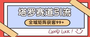 小红书某音塔罗赛道引流获客 自热矩阵日引200+【揭秘】-最全资源库