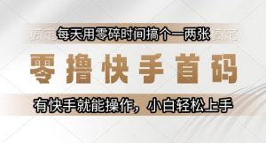 零撸快手首码，每天用零碎时间搞个一两张，有快手就能操作小白轻松上手【揭秘】-最全资源库