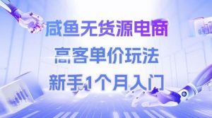 咸鱼无货源电商，高客单价玩法，新手1个月入门-最全资源库