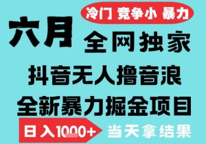 2025年6月高爆抖音无人直播最新撸音浪掘金项目，无脑日入1k+，低门槛小白可做，可矩阵放大【揭秘】-最全资源库