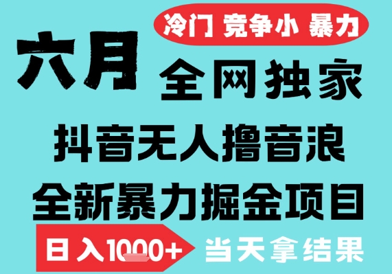2025年6月高爆抖音无人直播最新撸音浪掘金项目，无脑日入1k+，低门槛小白可做，可矩阵放大【揭秘】-最全资源库