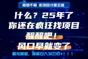 什么?25年你还在疯狂找项目做,醒醒吧,看完这些你全都懂了!【揭秘】-最全资源库