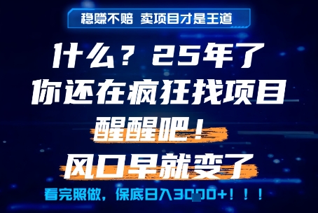 什么?25年你还在疯狂找项目做,醒醒吧,看完这些你全都懂了!【揭秘】-最全资源库