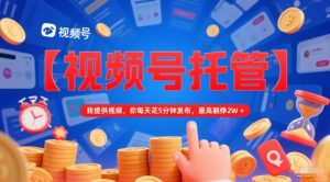 【视频号托管 】我提供视频,你每天花5分钟发布,最高躺挣2W+【揭秘】-最全资源库