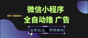 微信小程序全自动撸广告项目,彻底解决没流量的问题,新手一天8张+【揭秘】-最全资源库