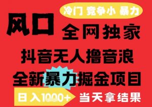 25年6月高爆抖音无人直播最新撸音浪掘金项目，解放双手小白可做，无脑日入1k+，门槛低【揭秘】-最全资源库