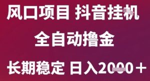 风口项目，六月最新玩法抖音无人挂G，全自动撸金，长期稳定 日入2k+【揭秘】-最全资源库