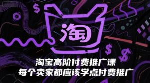 淘宝高阶付费推广课，每个卖家都应该学点付费推广-最全资源库